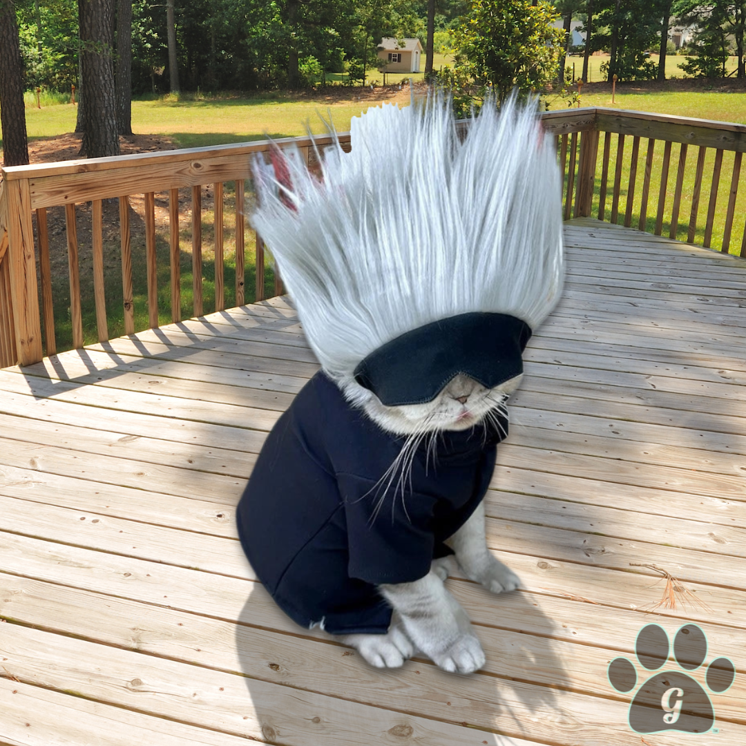 Jujutsu Kaisen Halloween Pet Costume worn by cat