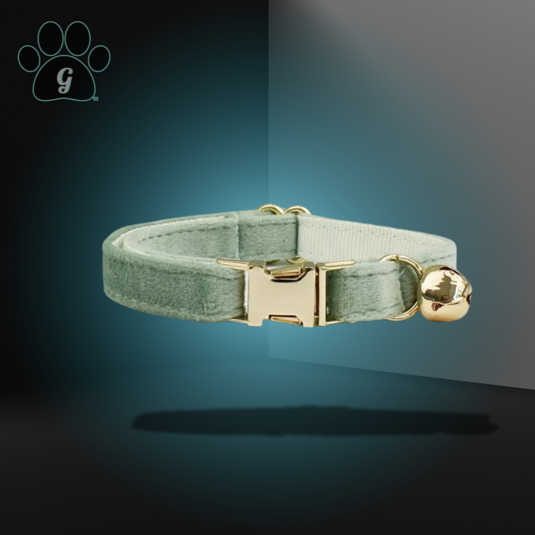 gray green cat collar with metal buckle and bell