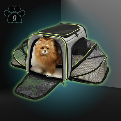 gray and green small pet travel carrier