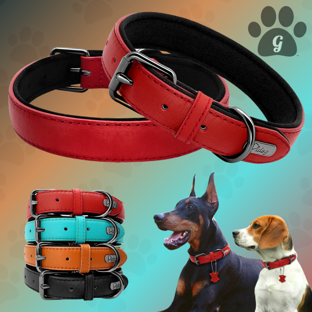 leather dog collar in multiple colors