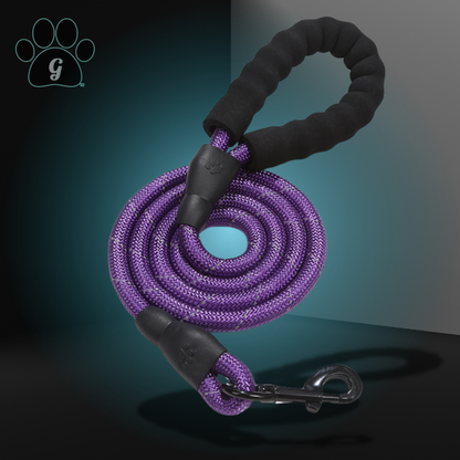 purple rope leash