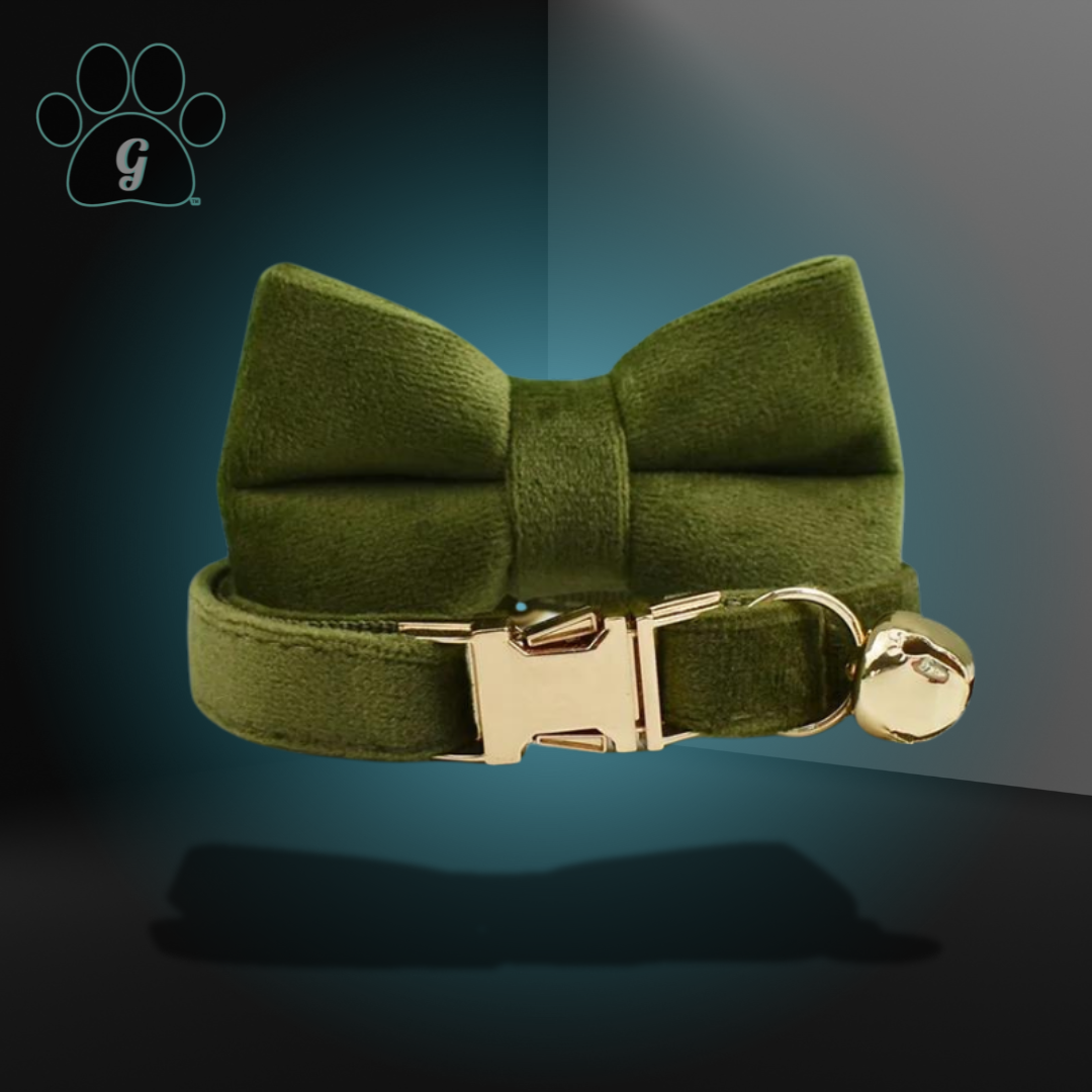 olive colored cat collar with metal buckle and bell and bowtie