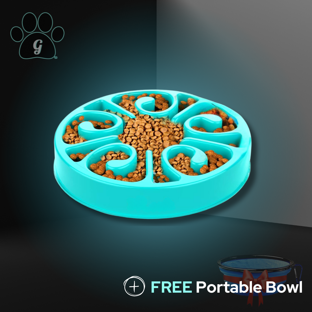 turquoise slow feeder bowl