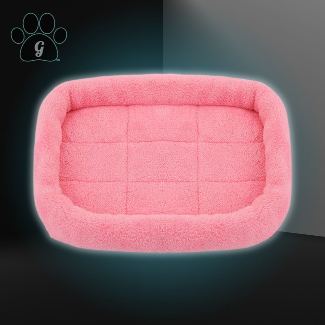 MOYU Vivid Series Bolstered Dog Crate Bed