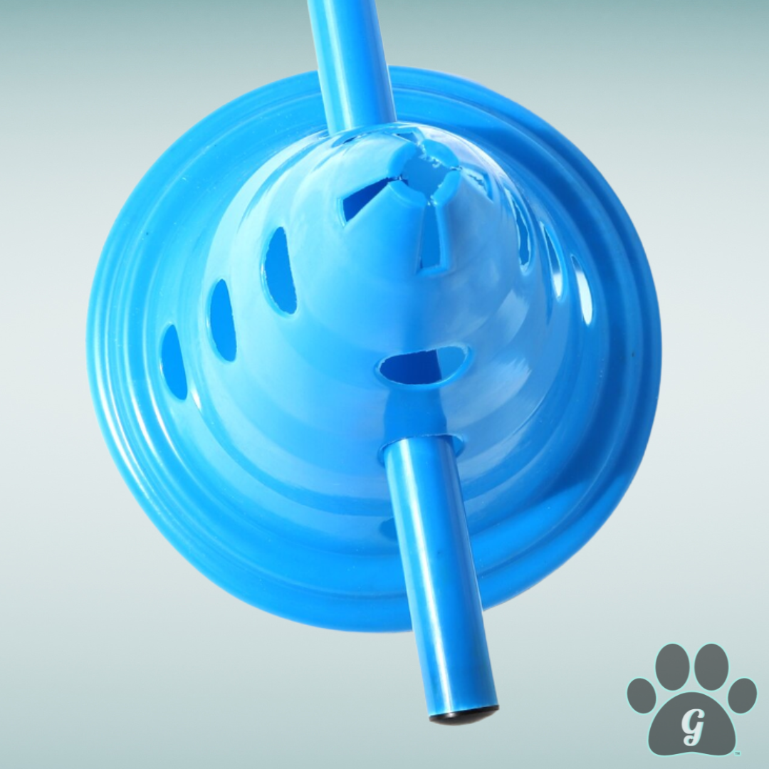 top view of cone