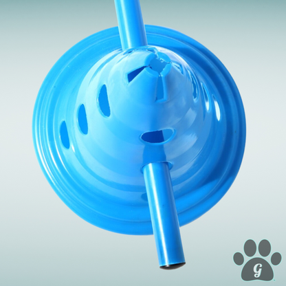 top view of cone