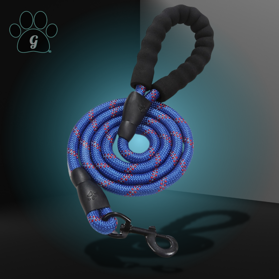 royal blue rope leash