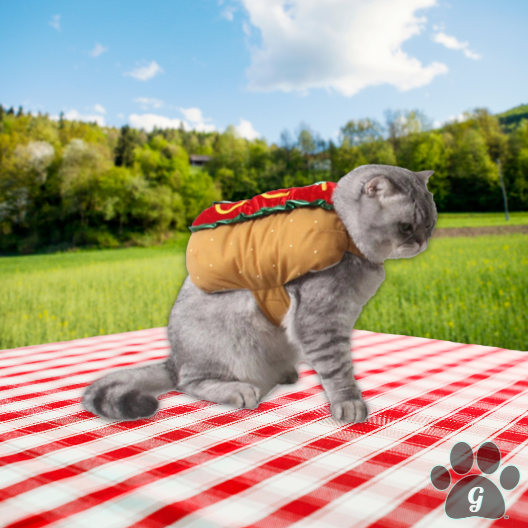 cat wearing hot dog costume on a picnic blanket