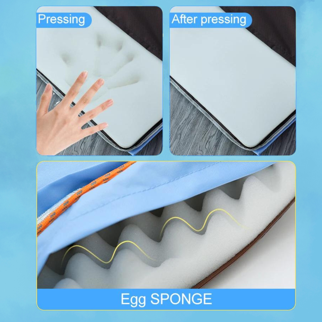 egg sponge