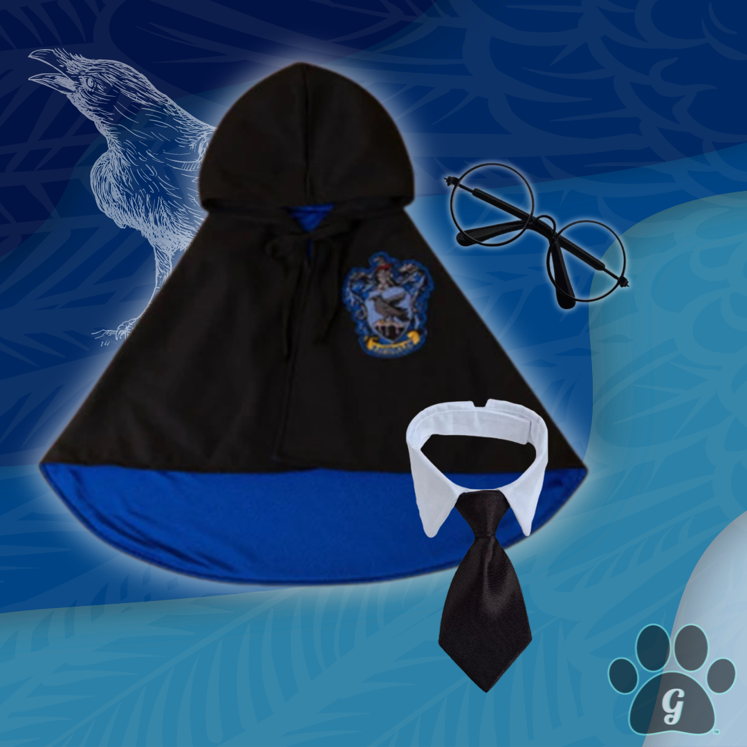 black and blue Hogwarts costume with tie and glasses