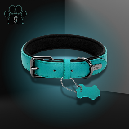 blue dog collar