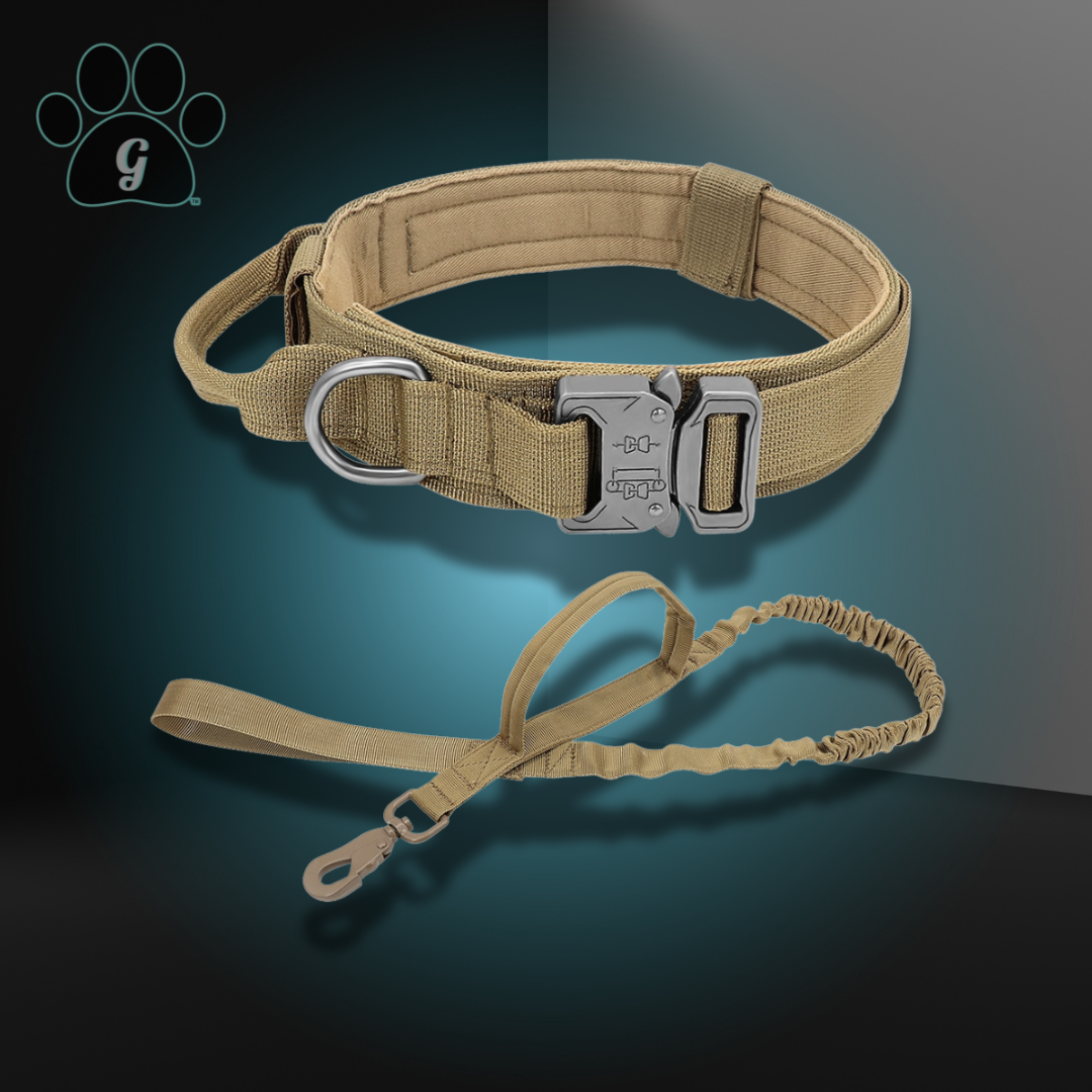 DIDOG Tactical Dog Collar Bungee Leash Set