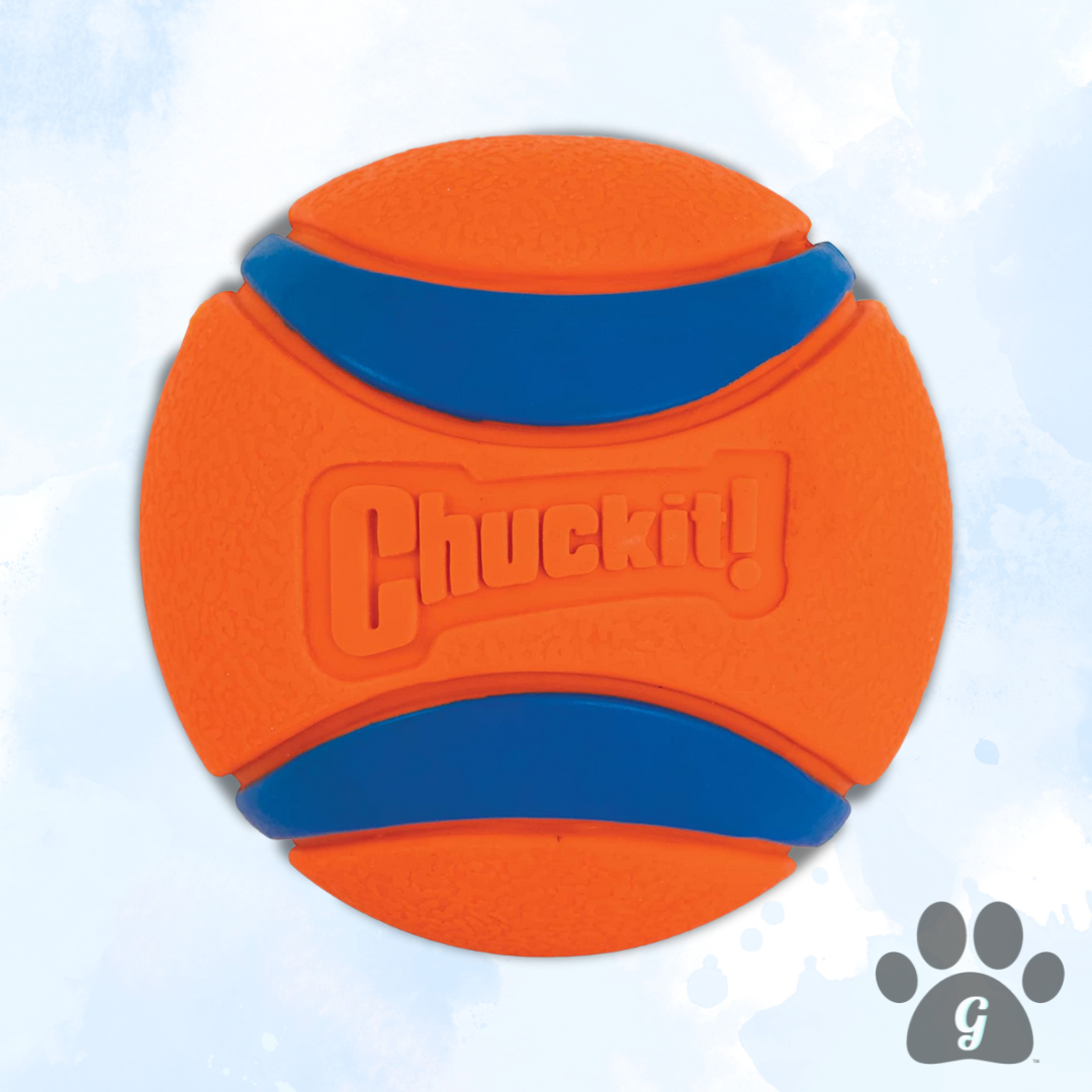 orange ball toy for dogs