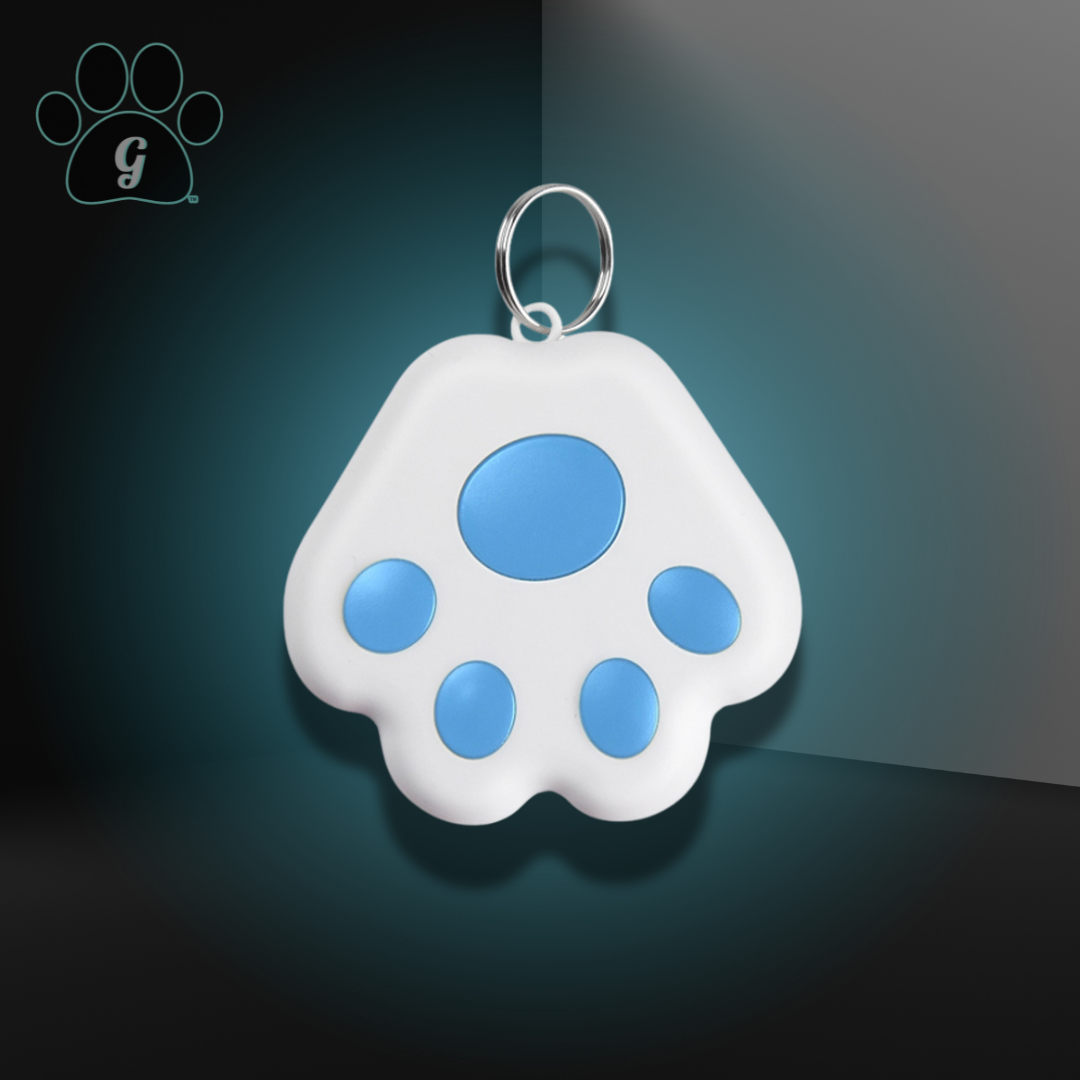 pet GPS tag in blue