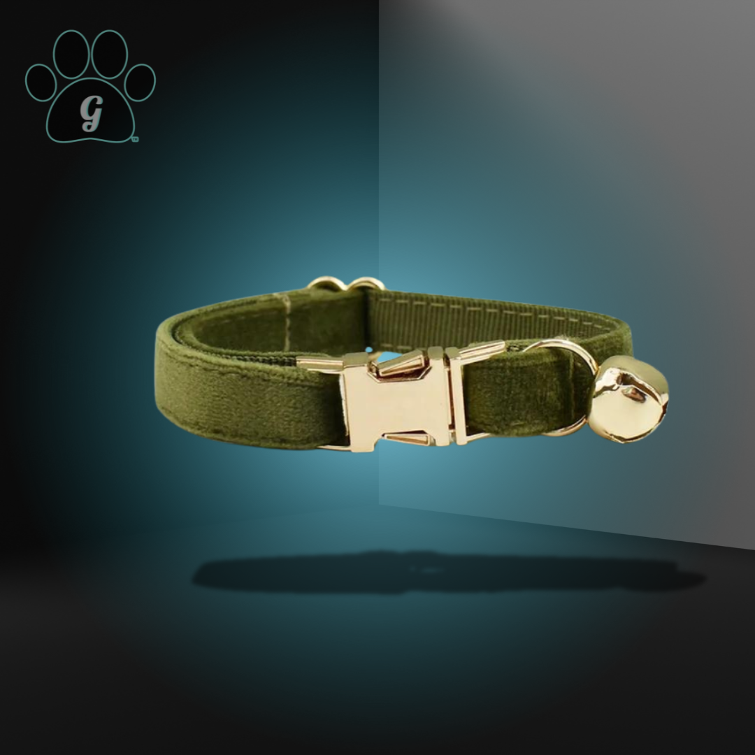 olive colored cat collar with metal buckle and bell