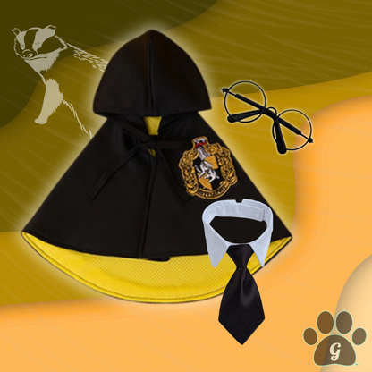 black and yellow Hogwarts costume with tie and glasses