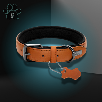 tan dog collar