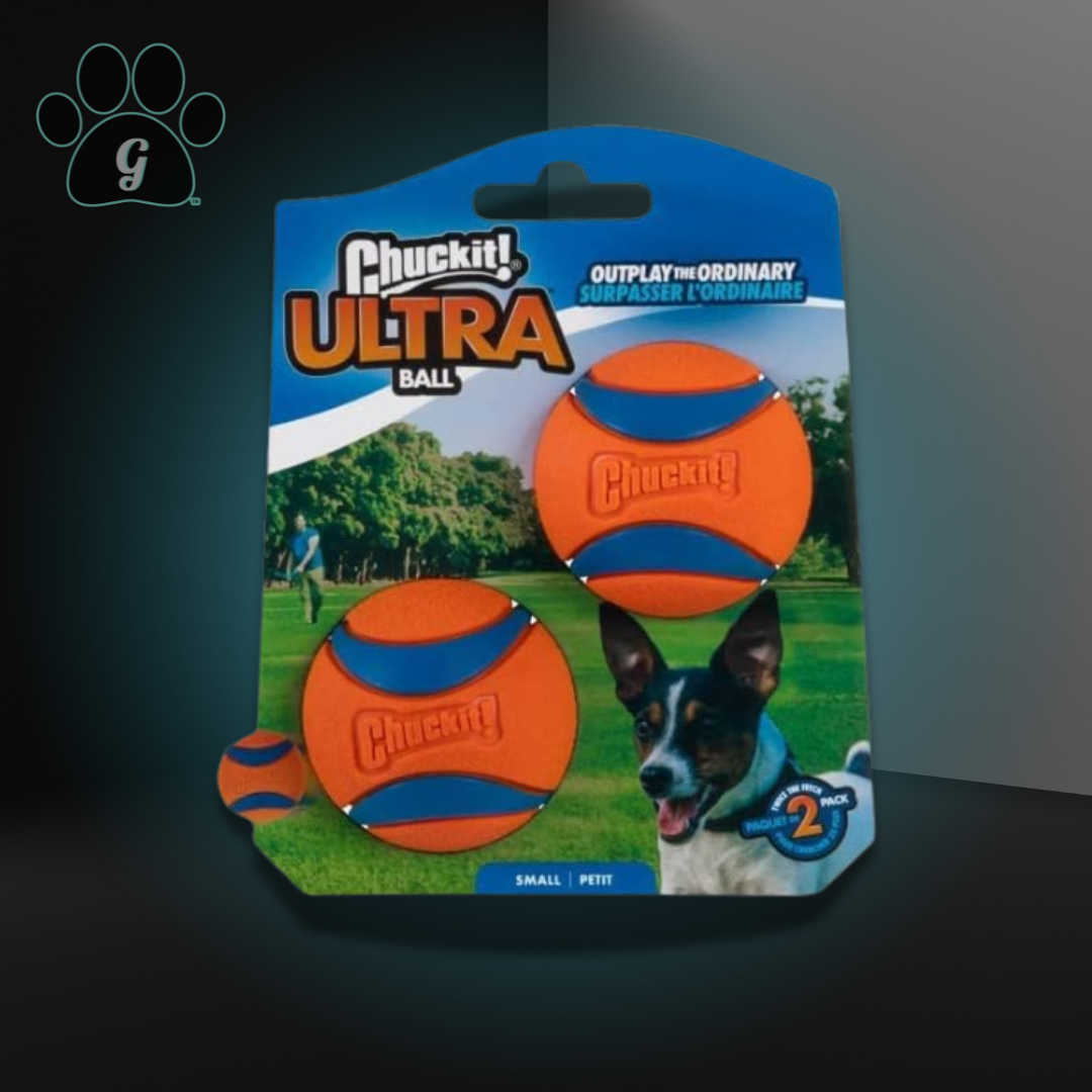 twin pack of orange dog ball toys