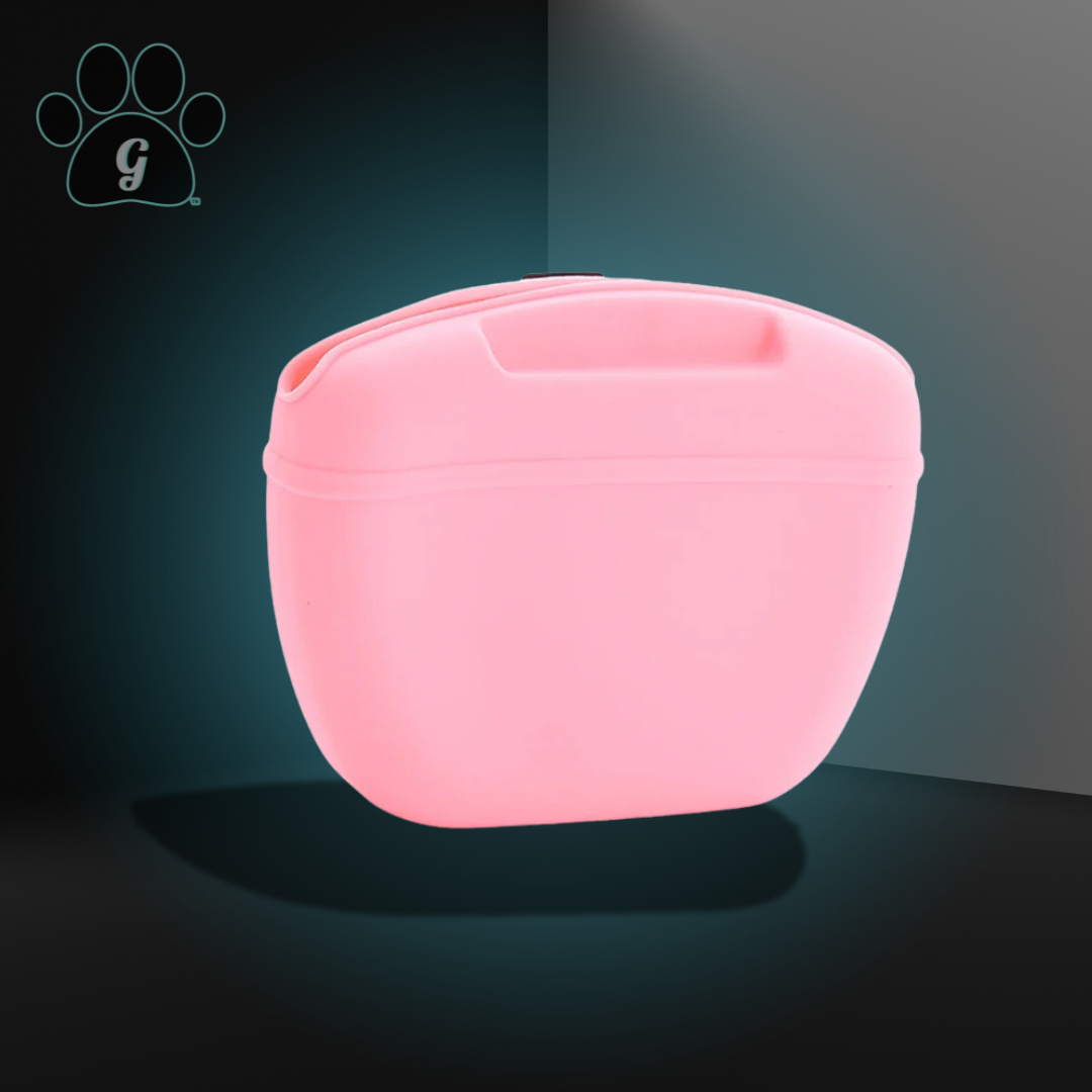 pink silicone treat pouch