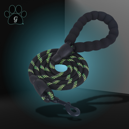 black and green rope leash