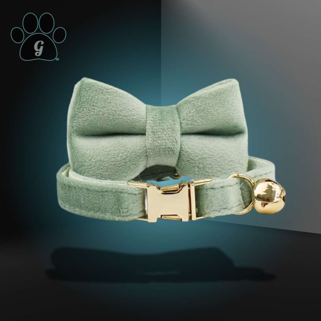 gray green cat collar with metal buckle and bell and bowtie