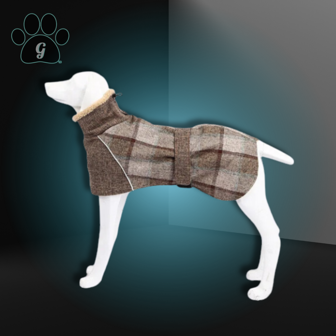 plaid dog sweater BJORN Plaid Turtle Neck Cozy Dog Sweater – Gotcha