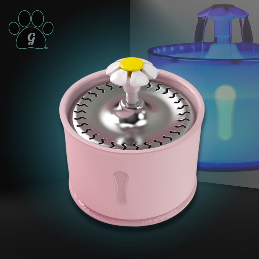 pink stainless steel pet fountain