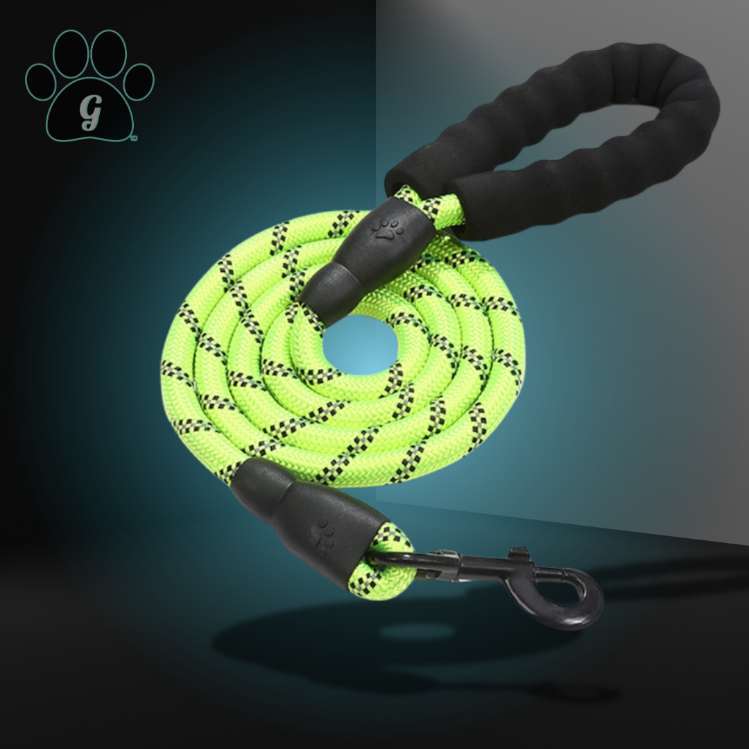 lime green rope leash