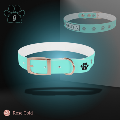 dog collar in rose gold finish