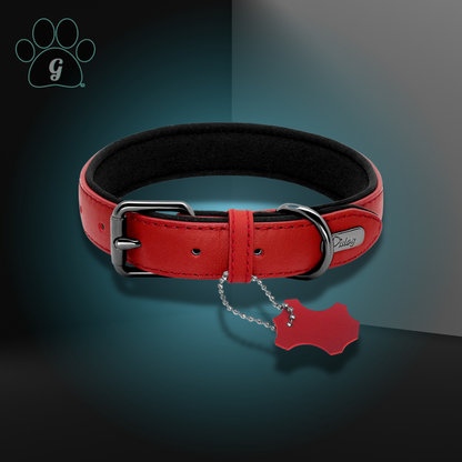 red dog collar