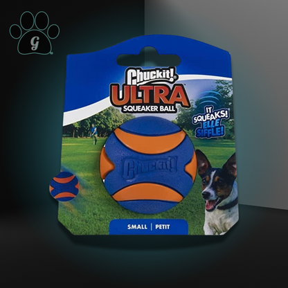 blue and orange dog ball toy