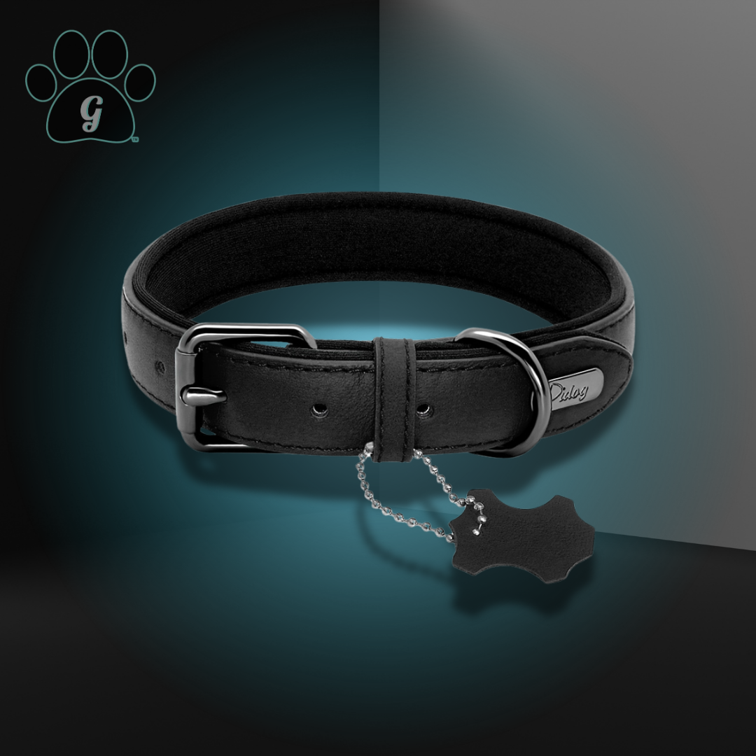 black dog collar