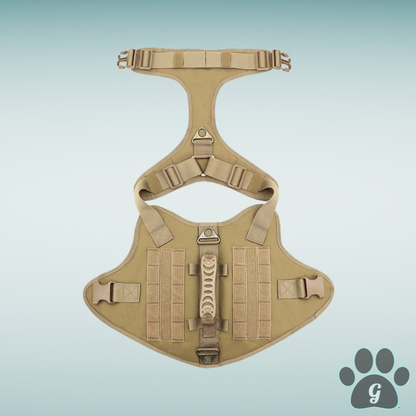 top view of unfastened harness