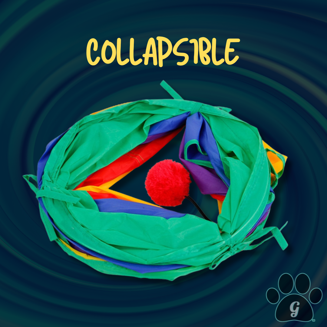 collapsible