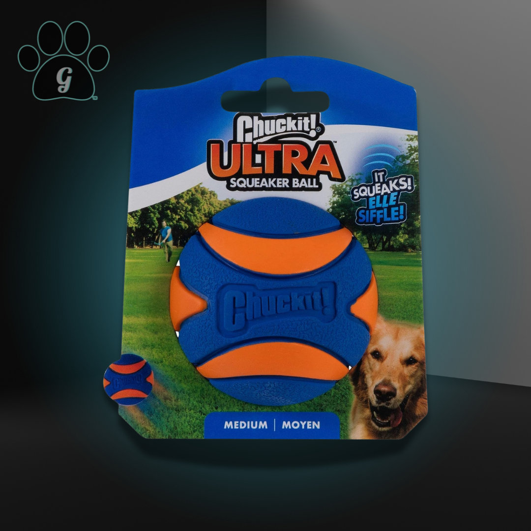 blue and orange dog ball toy