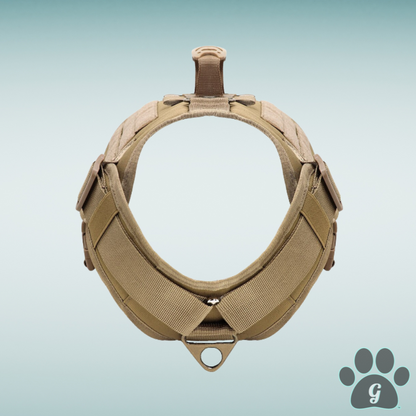 front view of fastened harness