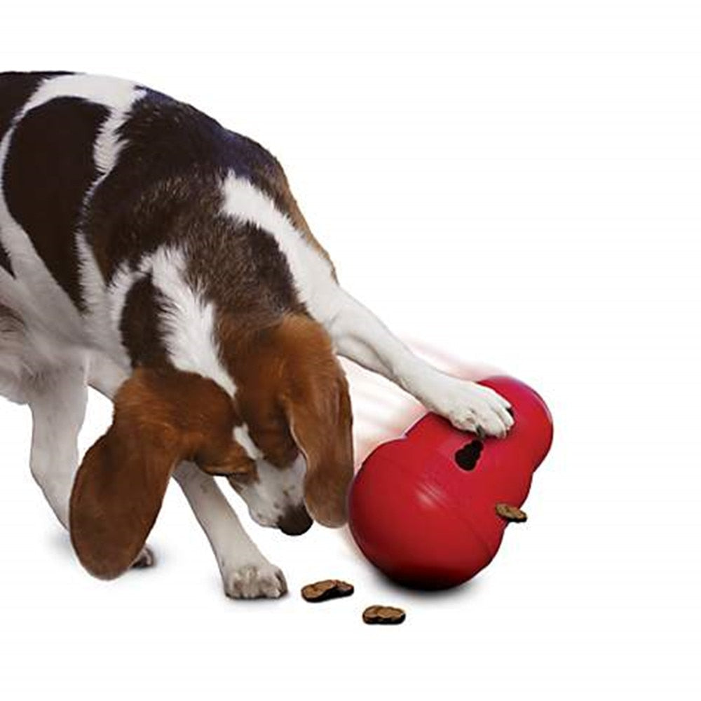 dog playing with Kong containing small treats