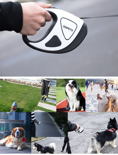 QQPETS Retractable Dog Leash with LED Flashlight