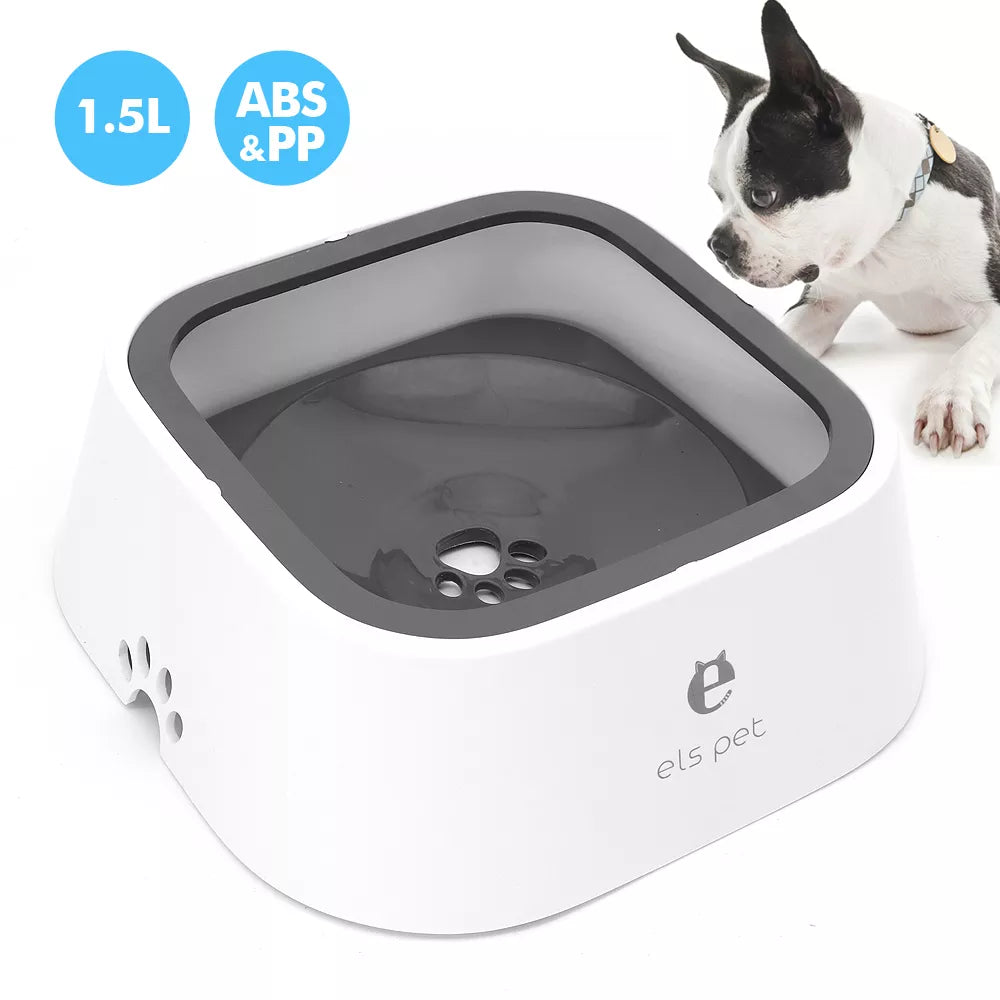 floating water bowl with dog in background