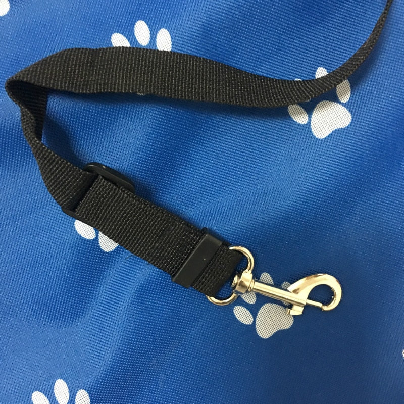 Close up of leash attachment.