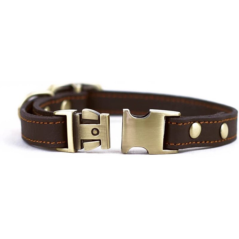 leather quick-release collar in unfastened state