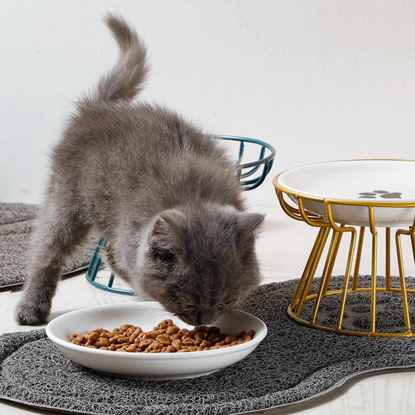 cat eating out of ceramic dish