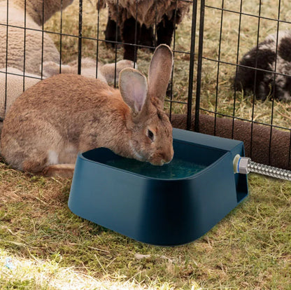 rabbit drinking from navy blue pet running water bowl