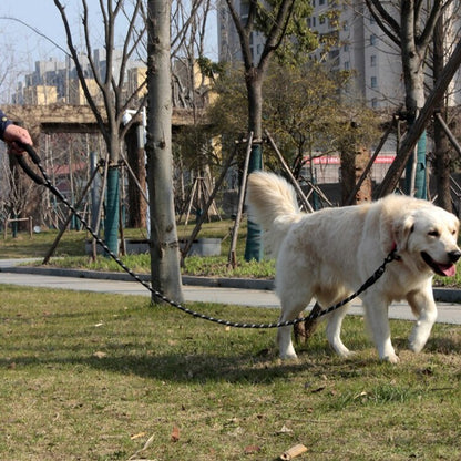 dog walking with rope leash