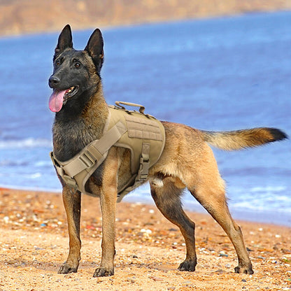 dog wearing tan harness