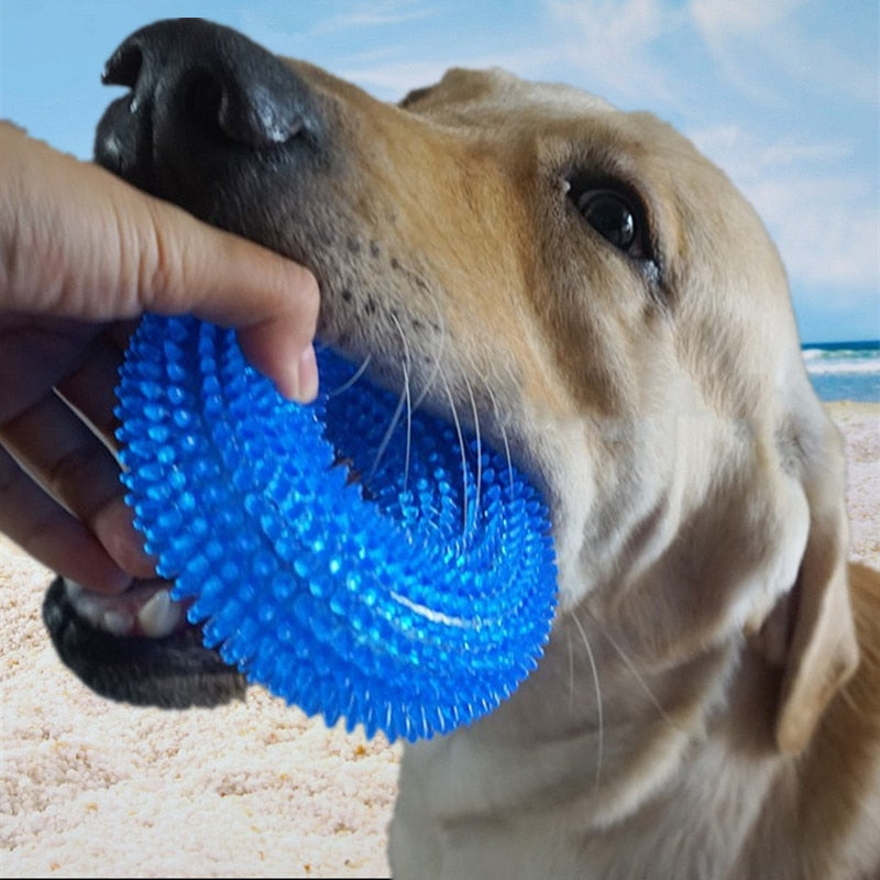 Labrador playing with blue bite proof dog chew toy