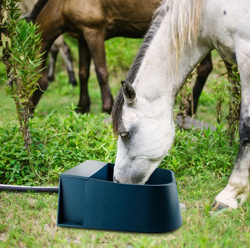 horse drinking from navy blue pet running water bowl