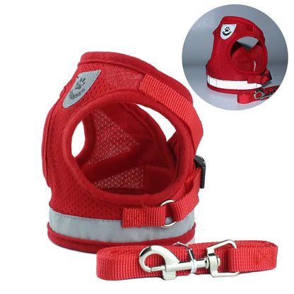 red harness and leash set