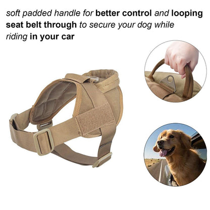 VIEFIN Padded Anti-Pull Dog Harness