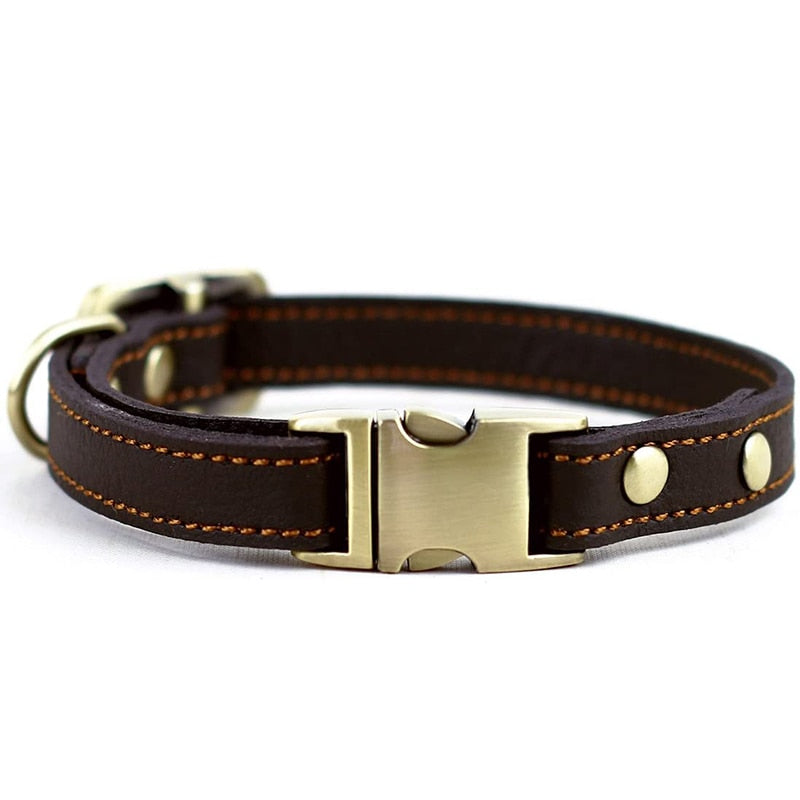 leather quick-release collar in its fastened state